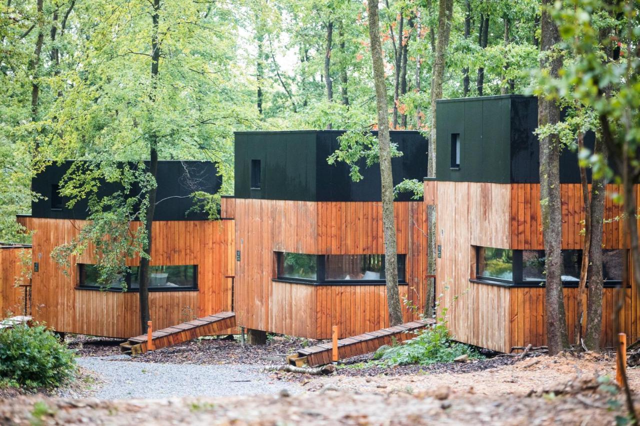 Forest Cube Oignies Екстериор снимка