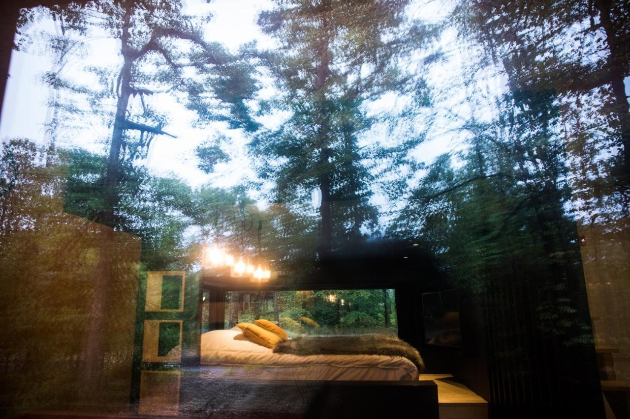 Forest Cube Oignies Екстериор снимка